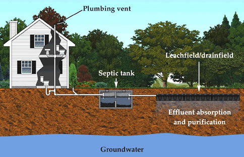 Diagram of typical septic system